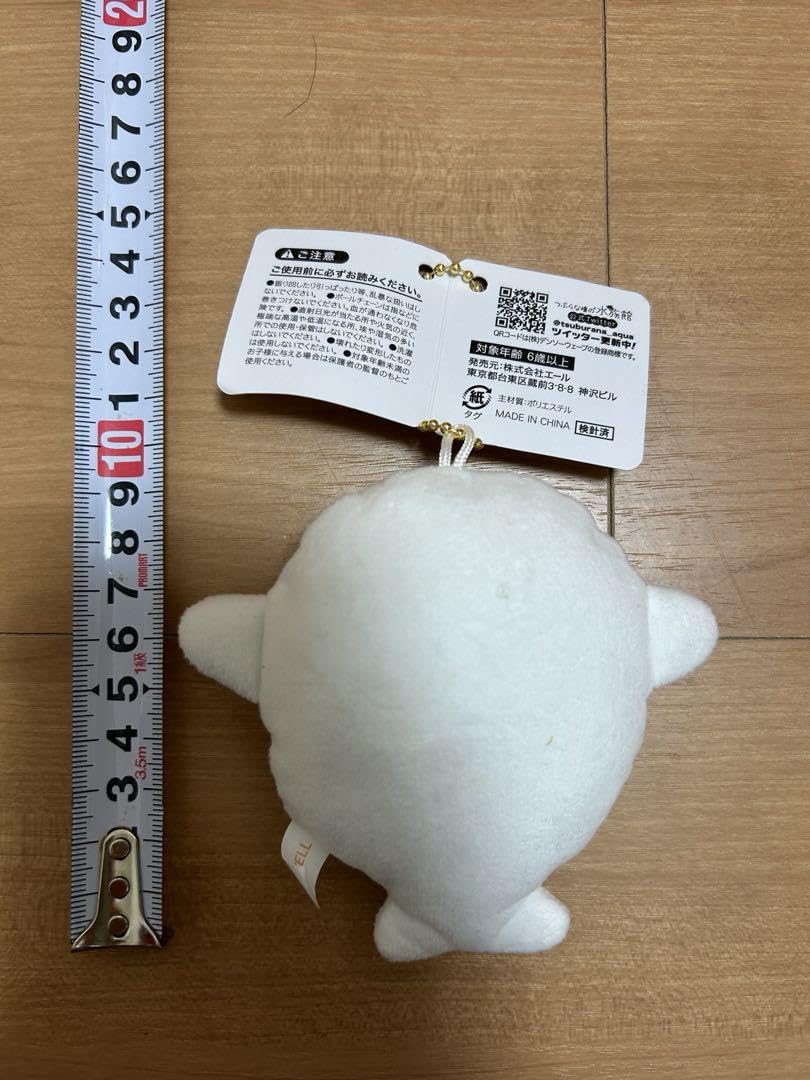 Amazon.co.jp: つぶらな瞳の動物園 あざらし アザラシ 48種 : おもちゃ